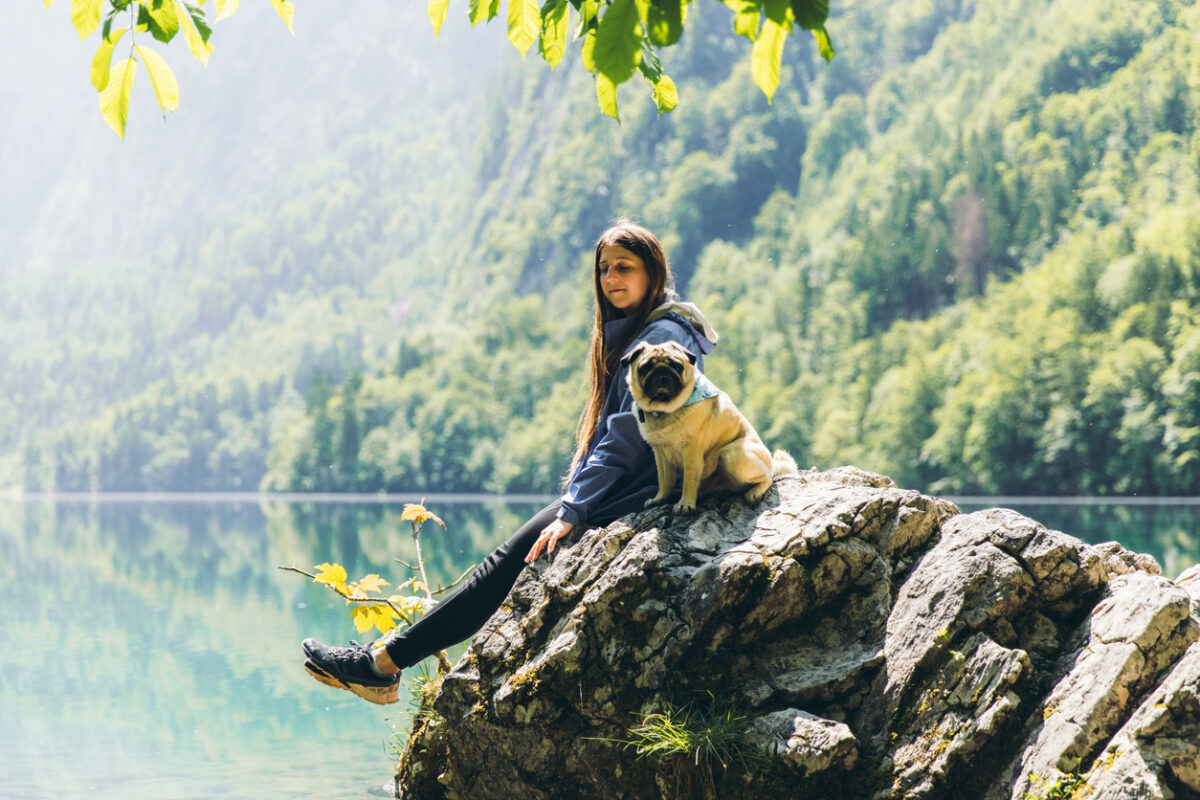 Franse natuur in met je hond