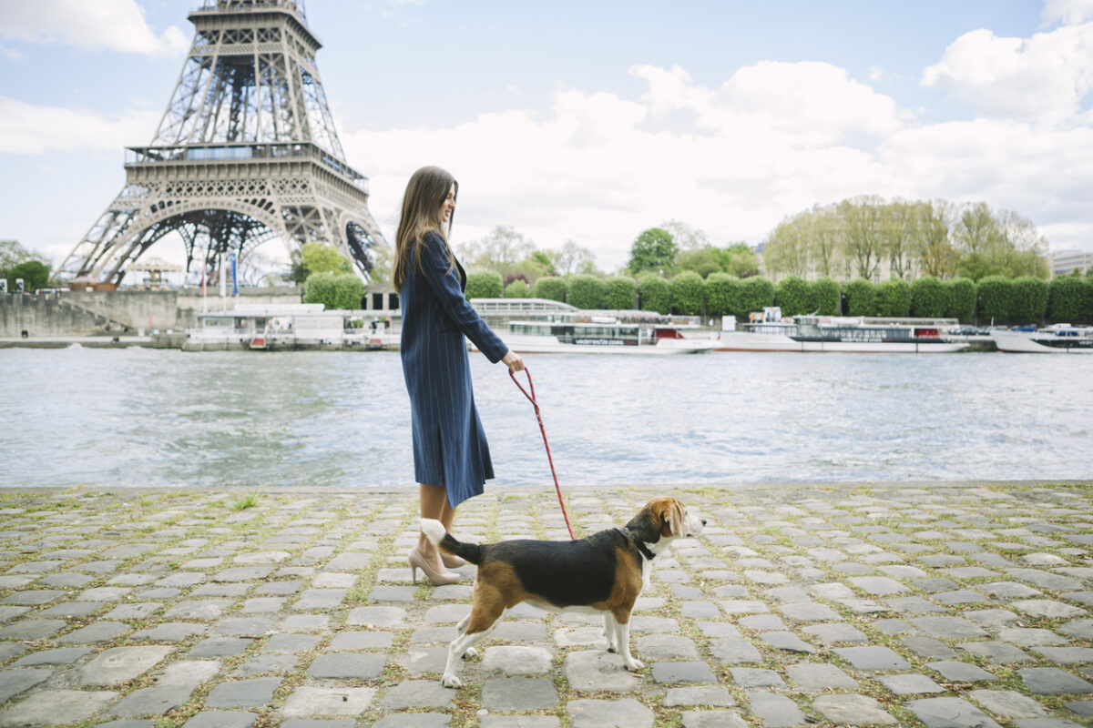 vakantie met je hond in Frankrijk