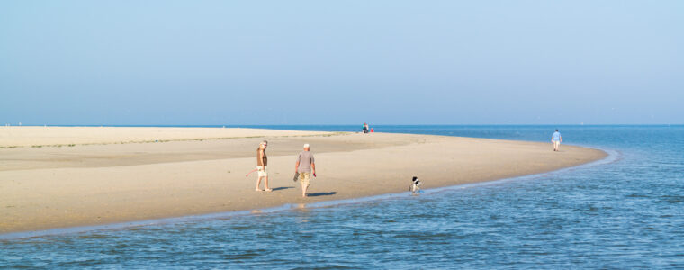 Vakantie Texel met hond