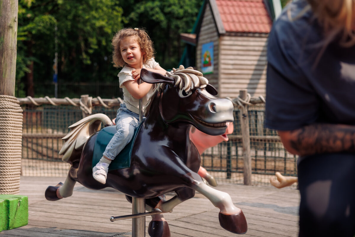 Peuter op de dierenmolen in Dwouwenerzand