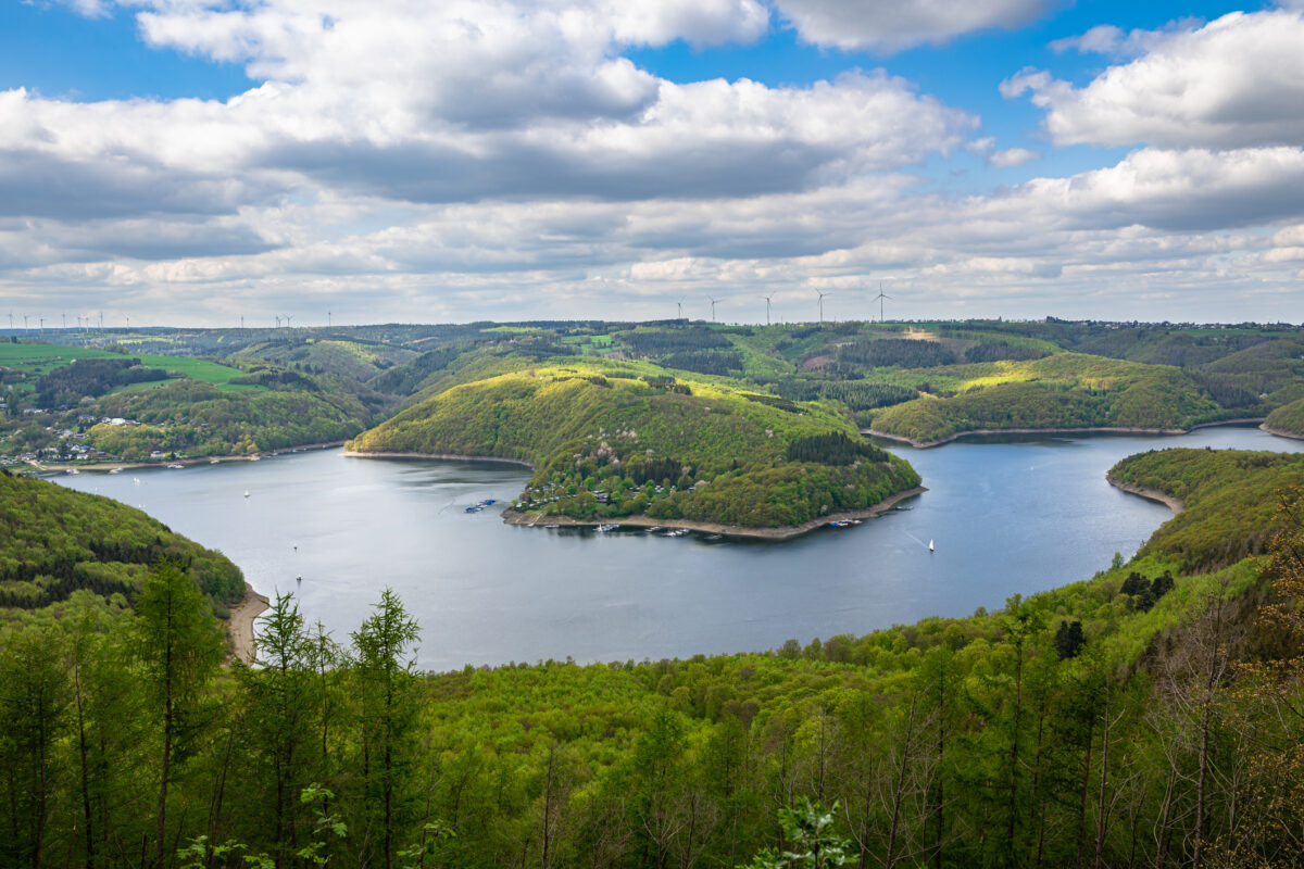 Uitzicht over de Rursee in het Nationaal Park Eifel in Duitsland, omringd door groene heuvels en bossen onder een heldere blauwe lucht.
