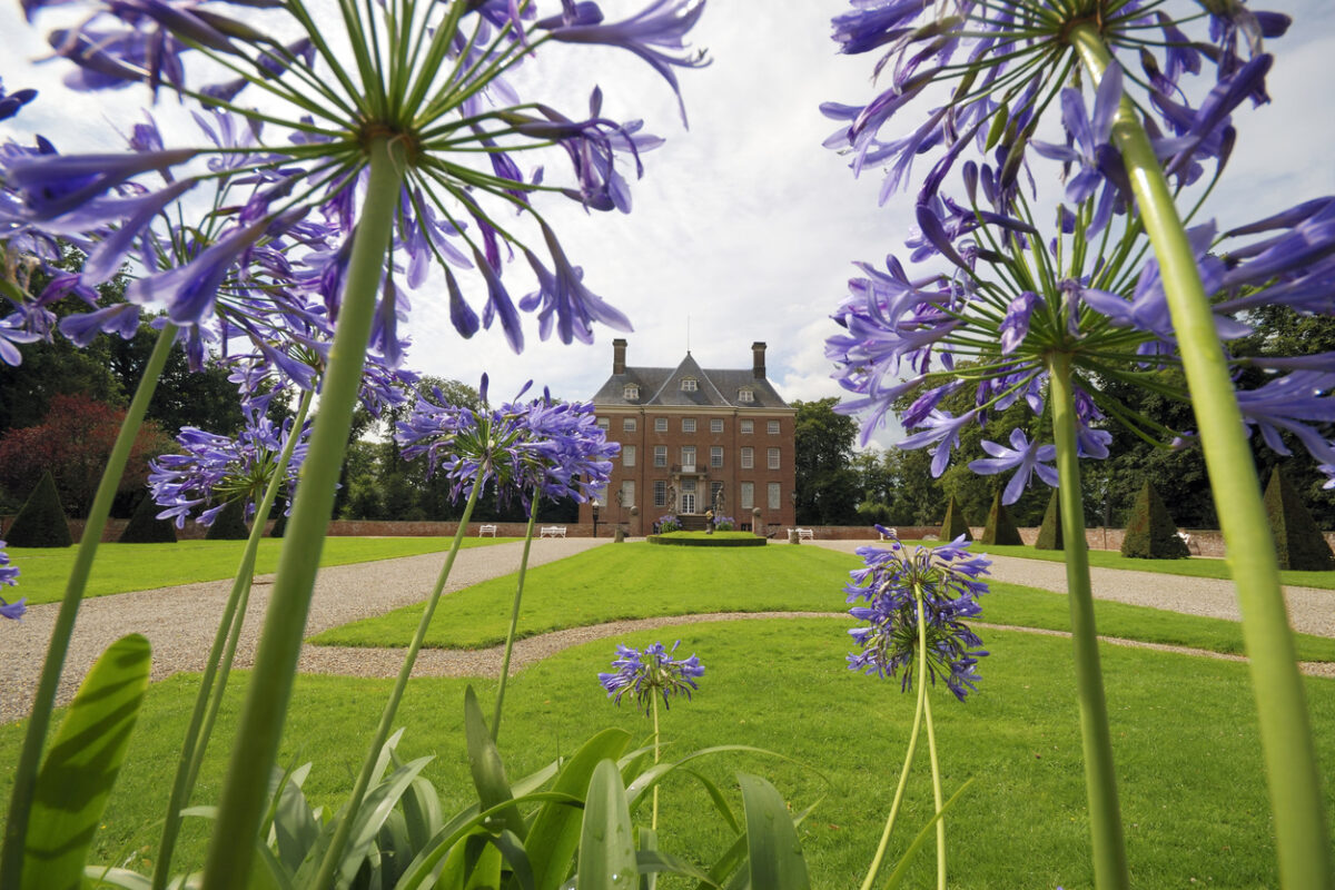 Kastelen in Nederland: Kasteel Amerongen gezien vanaf de tuin, omringd door paarse bloemen en strak groen landschap.