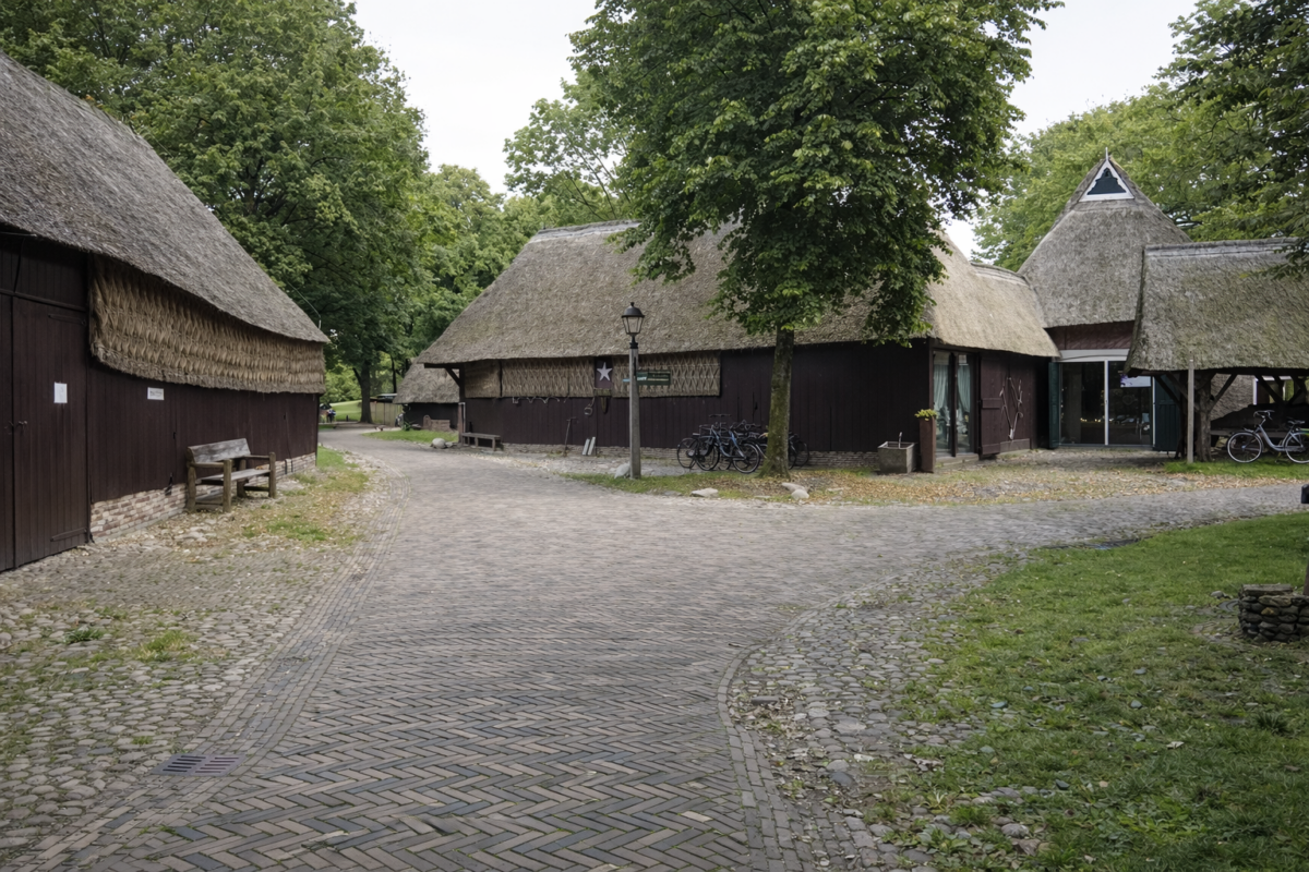 Dorpsstraat in Orvelte met rietgedekte boerderijen