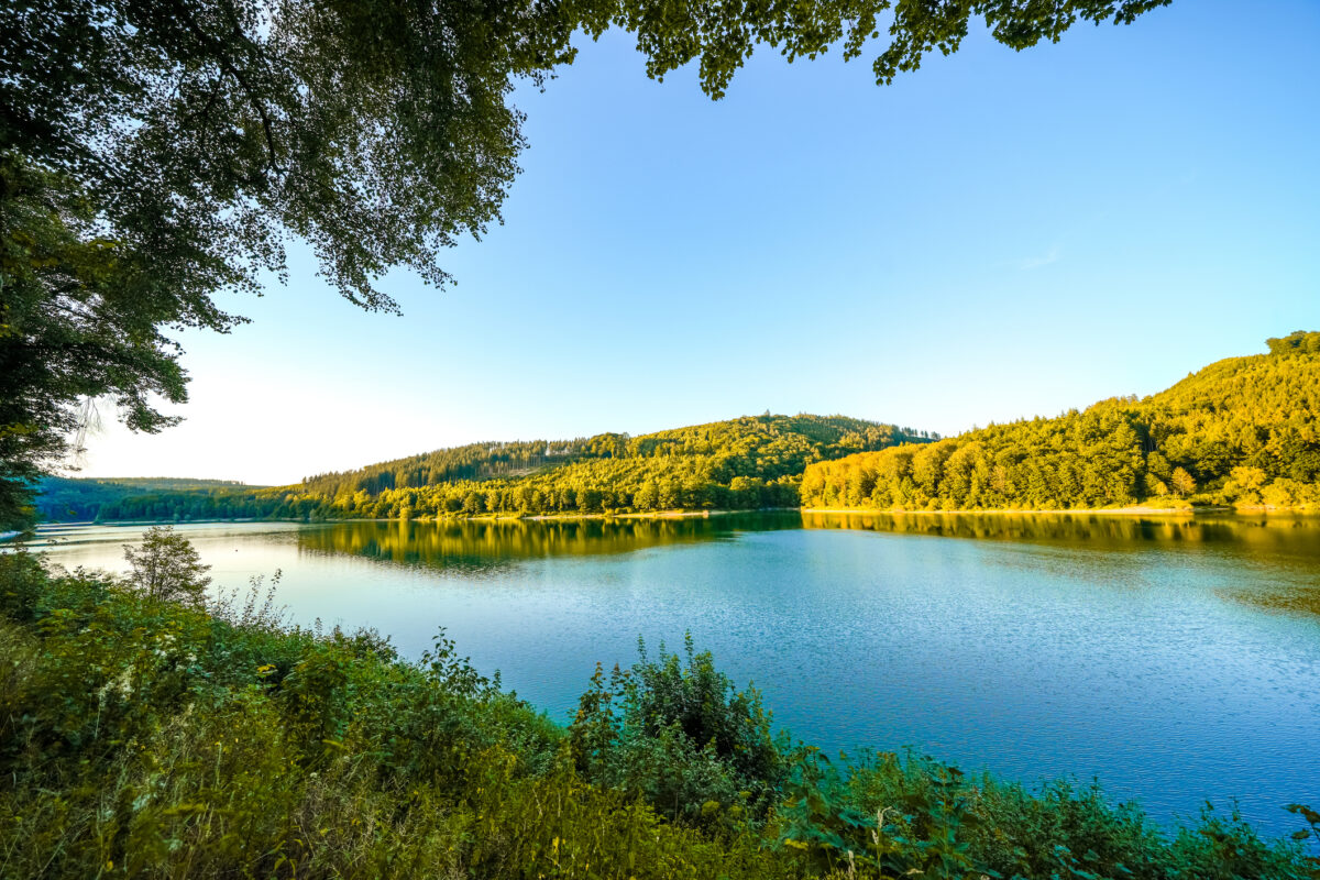 Hennesee bij Meschede met rustig water, beboste heuvels en groene oevers in het Sauerland.