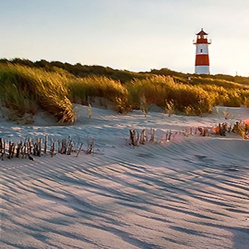 Noordzee